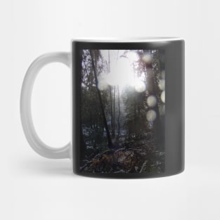 Forest Sun Rays in the Snow #64 Mug